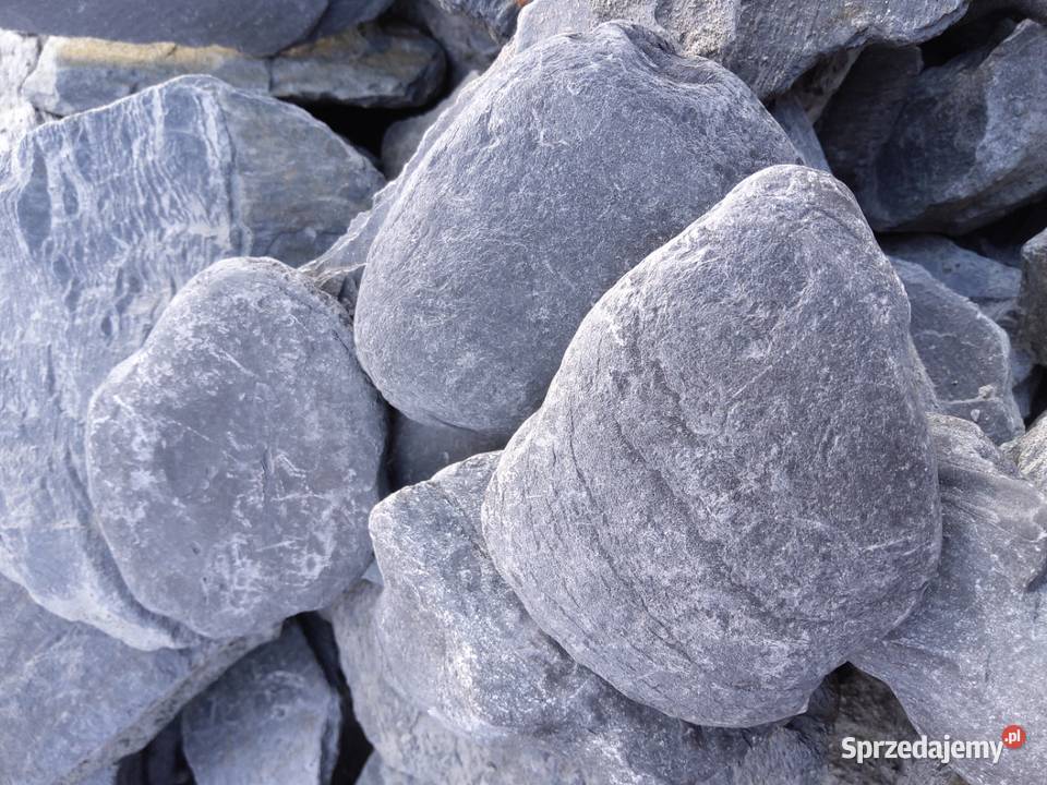 OTOCZAK FILITOWY Micigózd