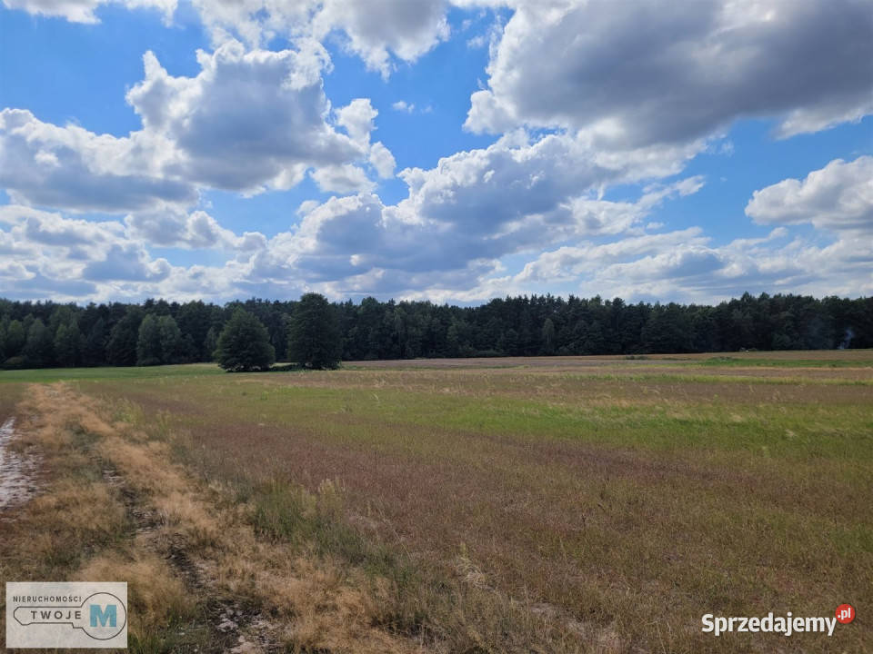 Działka 8000m2 Kluczewsko świętokrzyskie
