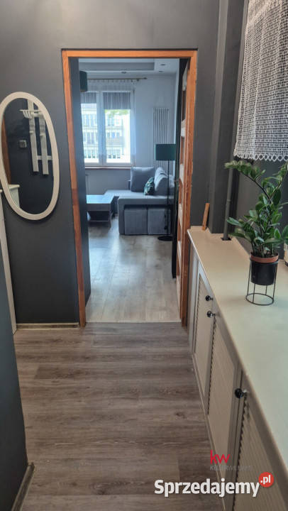 Mieszkanie Tychy 3354m2 1pok Liczba pokoi 1 śląskie sprzedam