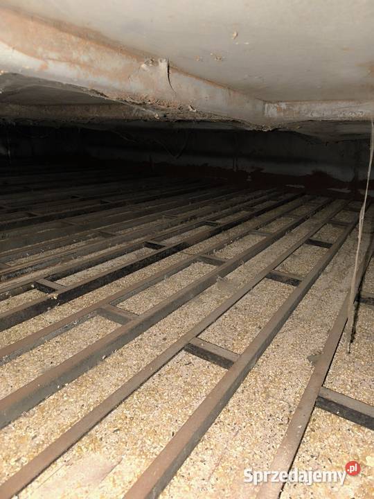 Suszarnia do kukurydzy trocin zrębki Alvan nieuszkodzony Galewice