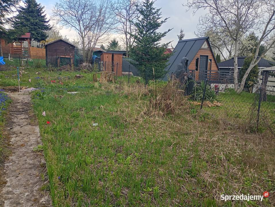 Działka ROD Wypoczynek Będzin sprzedam