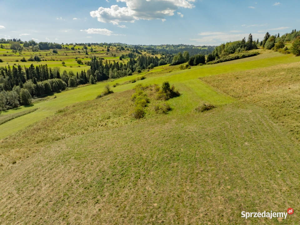 Działka rolna z widokiem na Tatry Biały Dunajec rolna Sprzedaż