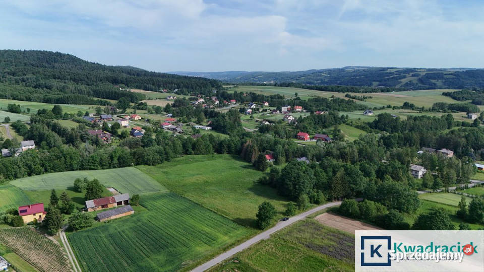 Działka 13100m2 Krasna Nieruchomości podkarpackie