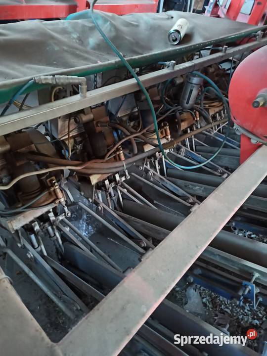 Ferrari siewnik do rozsad