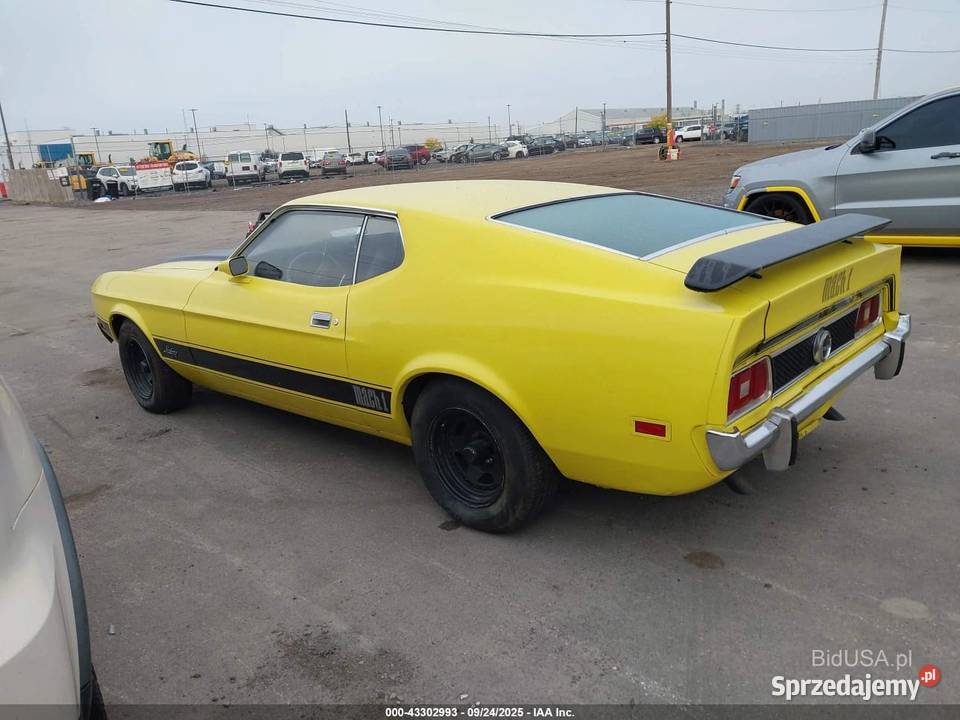 Ford Mustang Mach1 51235km
