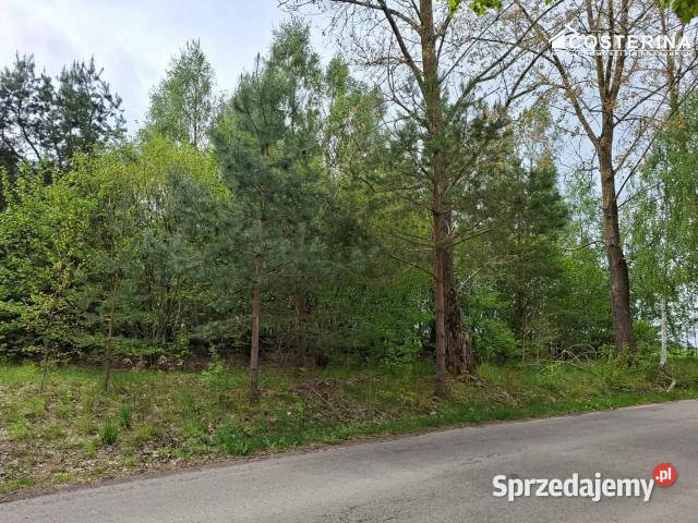 sprzedaży gruntu 8165m2 Sobącz gaz