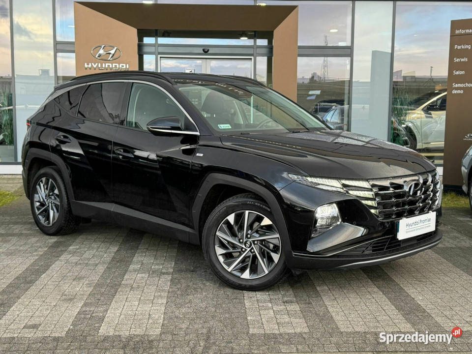 Salon Polska Autoryzowany dealer Faktura VAT hybryda Hyundai Kalisz