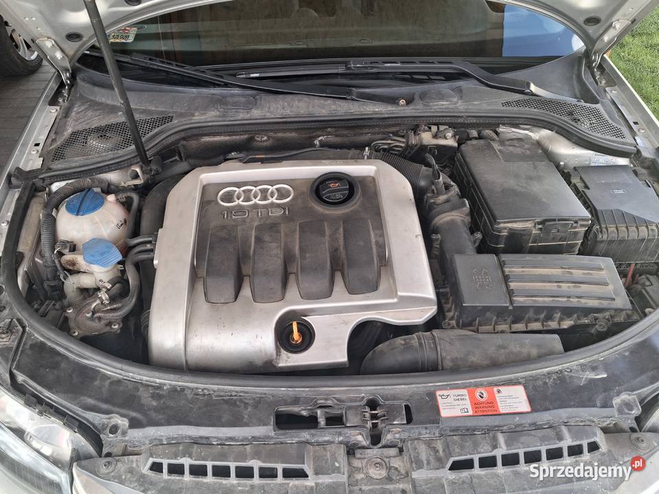 Audi A3 19 TDI podkarpackie Krosno