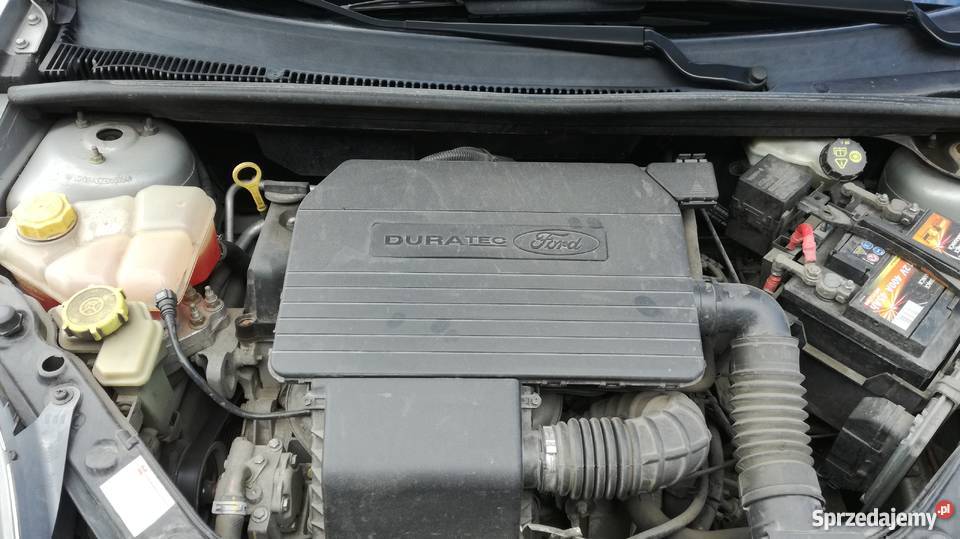 Ford Fiesta MK6 Lift Klima łańcuch rozrządu serwisowany w ASO Rogoźno