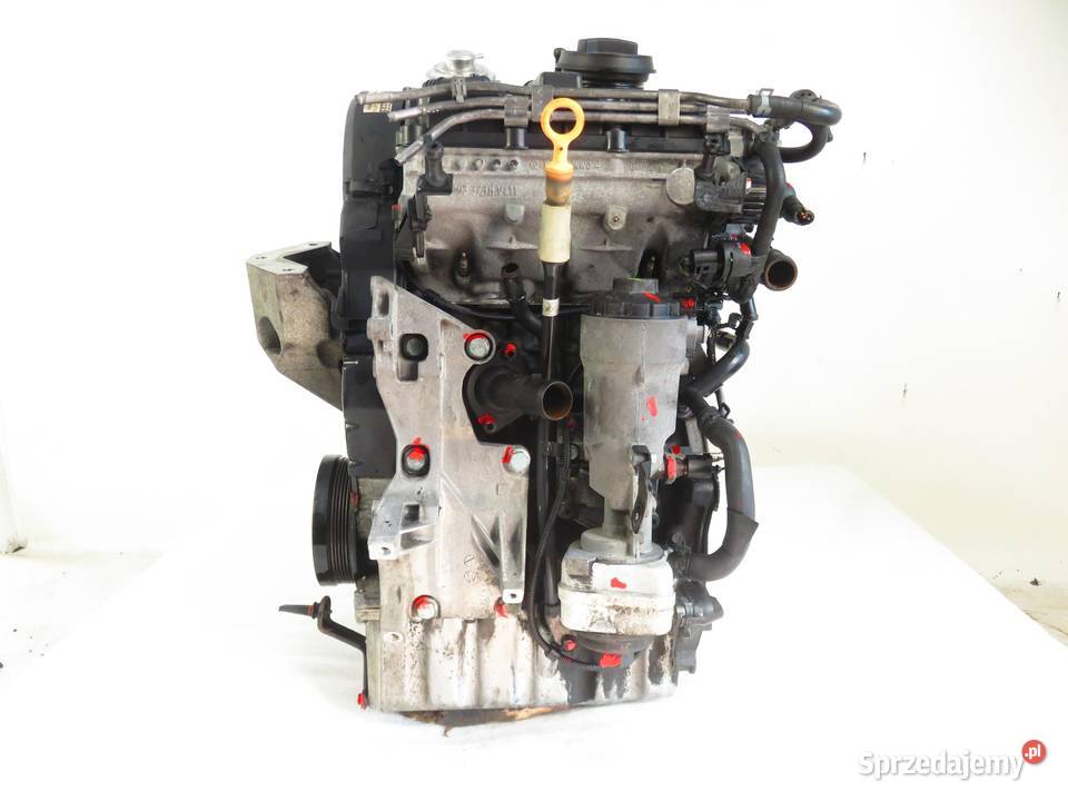 SILNIK SEAT IBIZA III 14 TDI AMF 75 osobowe sprzedam