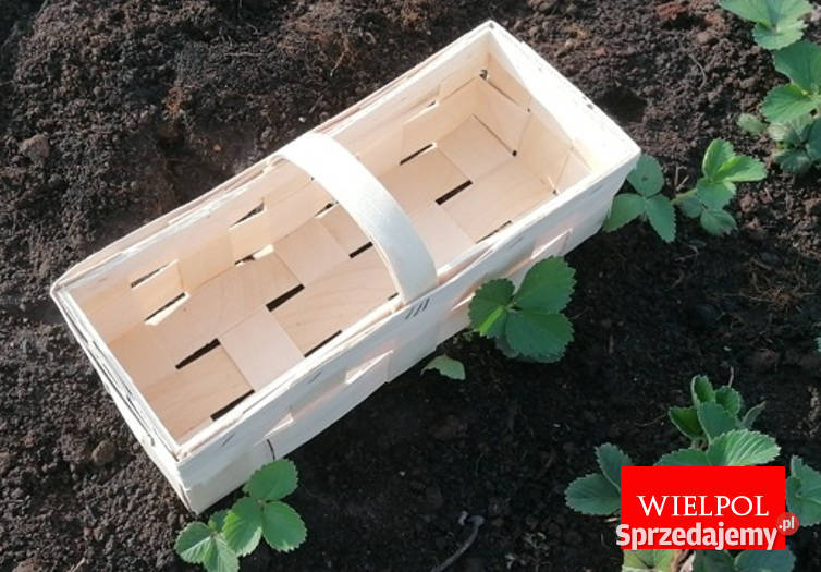 Łubianki drewniane Koszyki do truskawek polskiej wielkopolskie