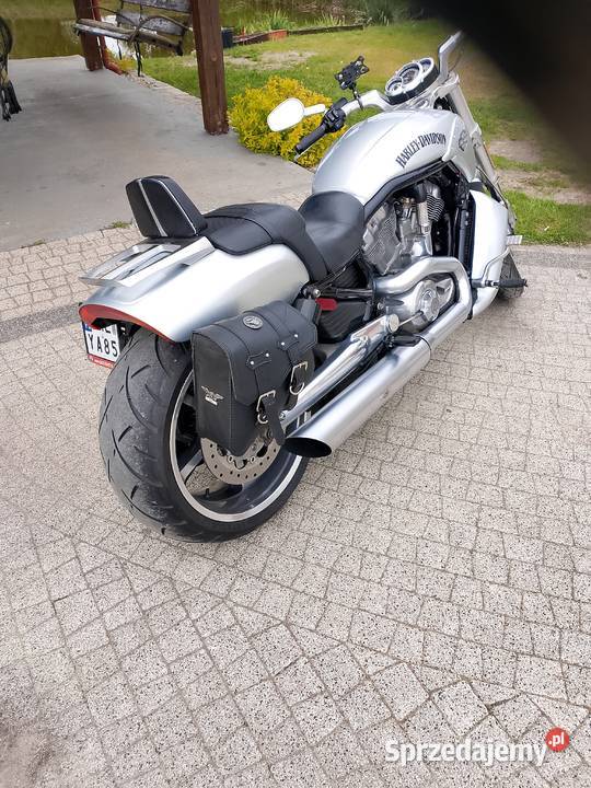 Harley Davidson Wołów