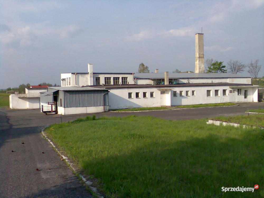 masarnię z ubojnią przemysłowy Nieruchomości Klimontów sprzedam
