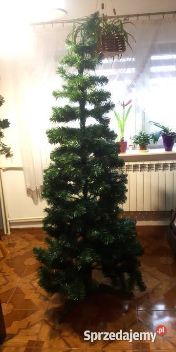 Piękna choinka wysoka 190 Pozostałe Rzeszów