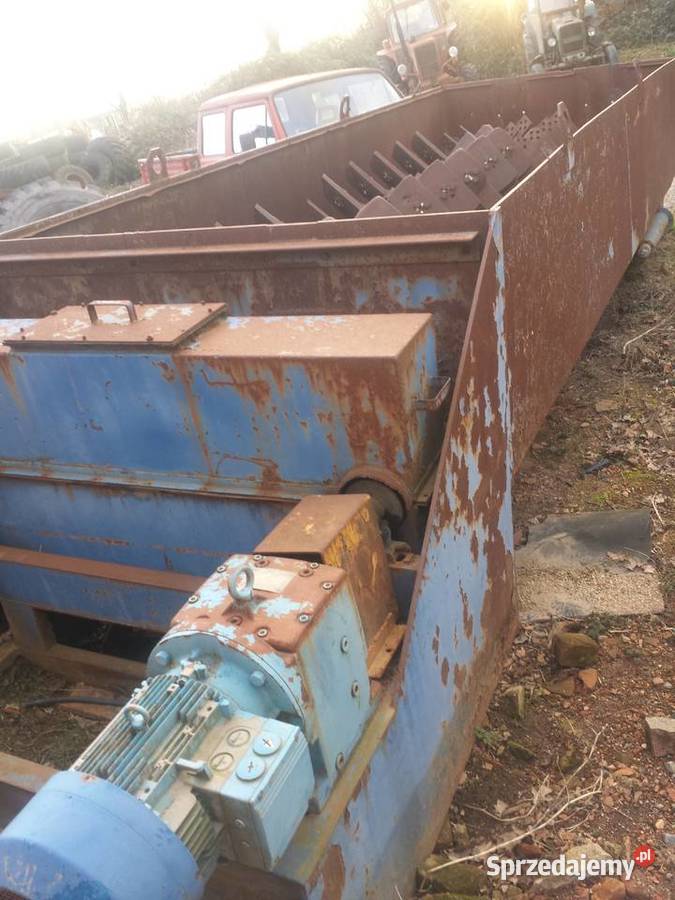 PŁUCZKA MIECZOWA dolnośląskie Chojnów