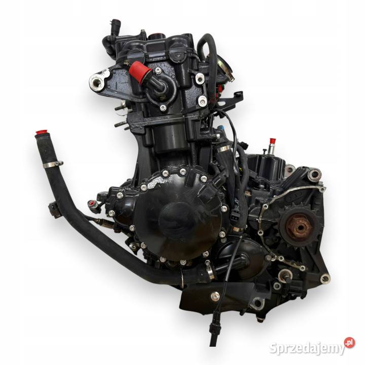 SILNIK Triumph Tiger 1050 115 20072012 engine Chełm