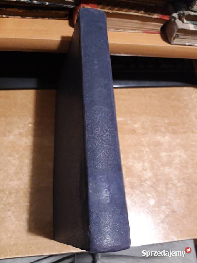 Dzieje Sztuki Polskiej StarzyńskiWalicki 1936 wielkopolskie Iwno