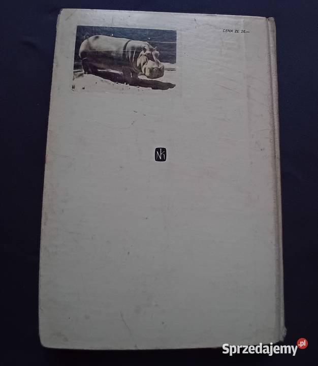 Ewa SzelburgZarembina Królestwo bajki Nasza wielkopolskie Koźminek