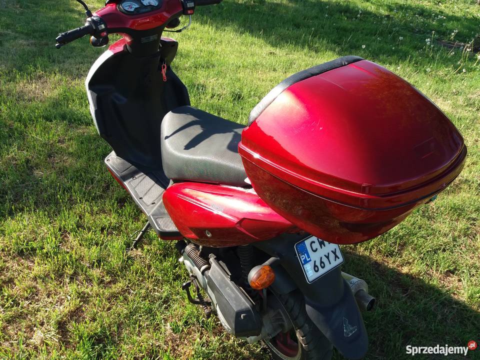 lingben LB50QT21 nowy perła Zbijewo