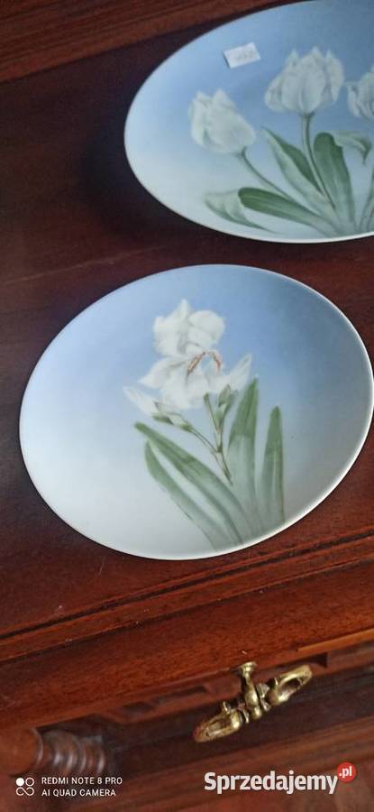 Talerz Rosenthal Sevres Sygnał Thomas Syg z Antyki, Sztuka, Kolekcje Gdańsk