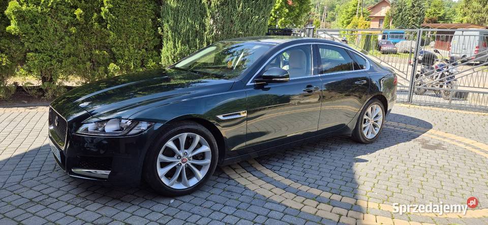 Jaguar XF 30 diesel 300 Poręba Wielka