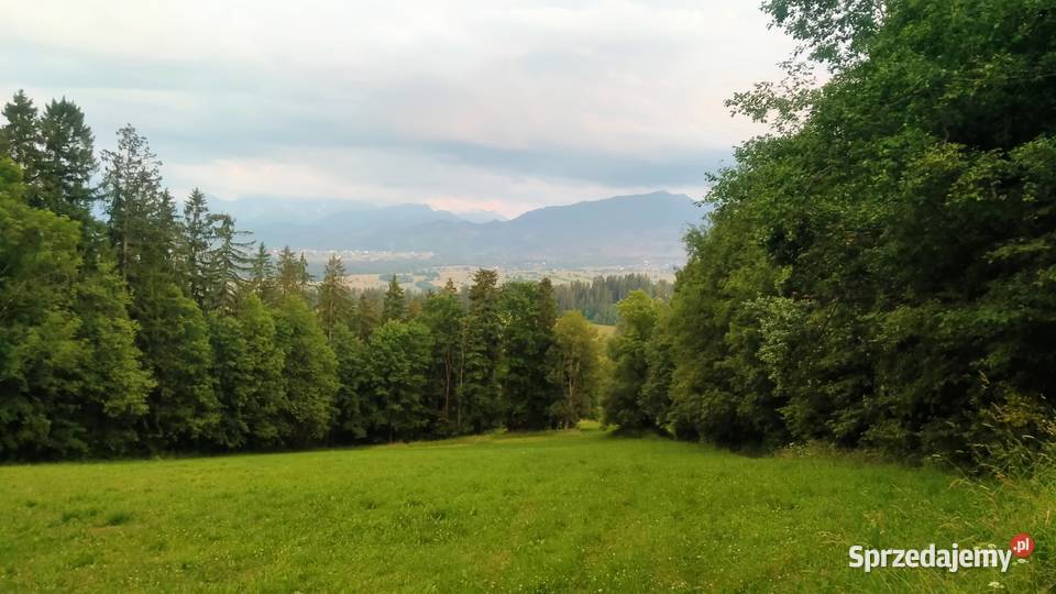 ZAKOPANE GLAMPINGPiękna działka widokowa u stóp małopolskie