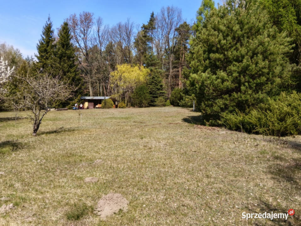 piekna dzialka odpowiediego klijenta Łódź