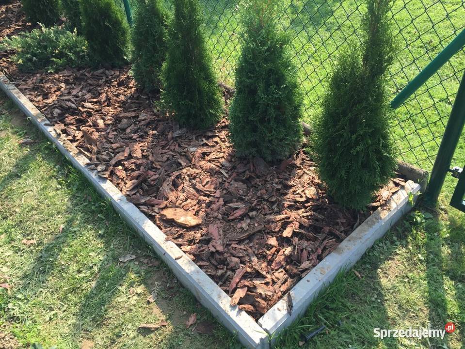 Kora sosnowa ozdobna dekoracyjna ogrodowa Brzesko