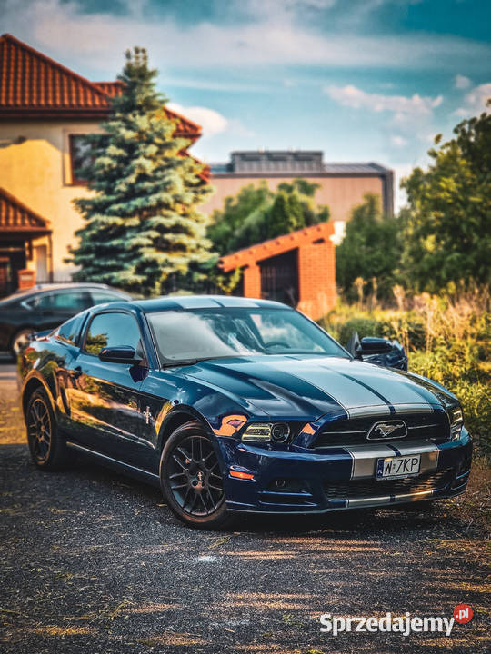 Mustang Pony Package Warszawa