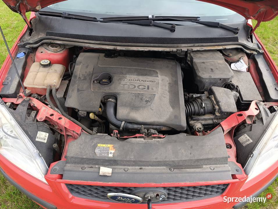 Ford Focus 16 TDCi DPF Ghia Brzeźno