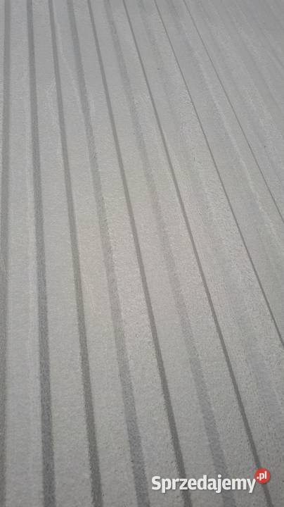 Blacha TRAPEZOWA trapez TRB12 T12 Alucynk Zawoja