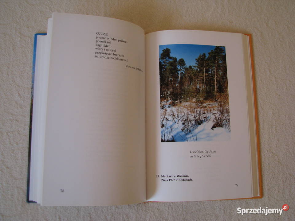 Niebo i Ziemia zbiór poezji s Aldona Teresa małopolskie Brzegi