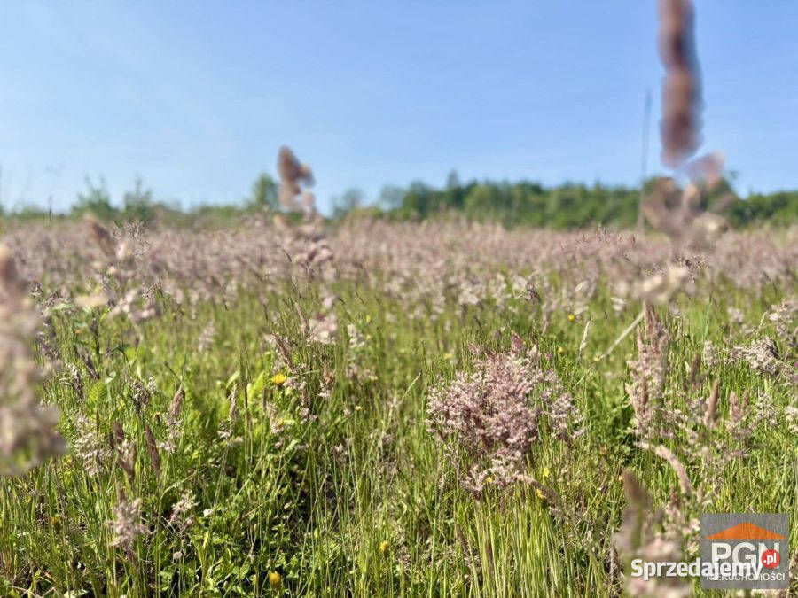 Sprzedam działka Trzebiatów 929m2 budowlana zachodniopomorskie