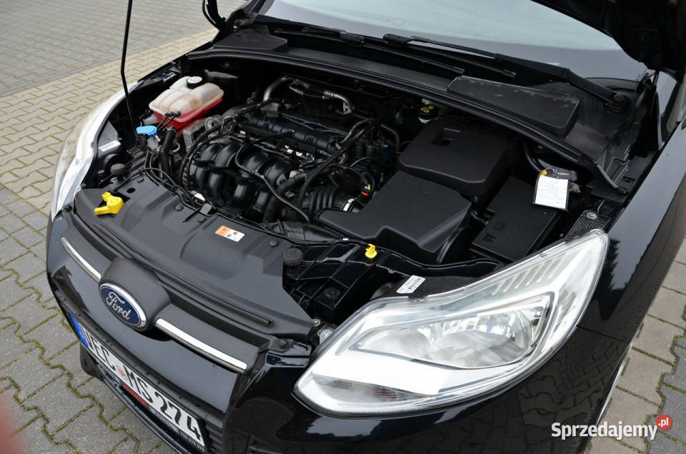 Ford Focus 16 16V 125 Serwis Super Stan Mk3 125KM Ostrów Mazowiecka