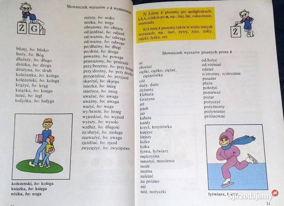 Ilustrowany słownik ortograficzny kl 13 Chełm