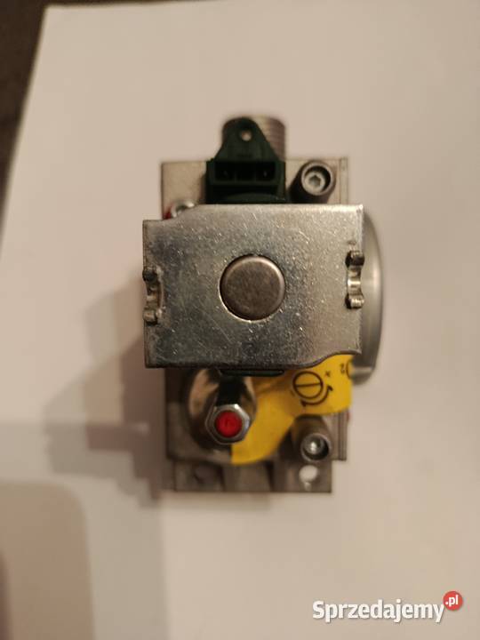 Vaillant ecotecSaunier Duvall thelia zawór Inowrocław