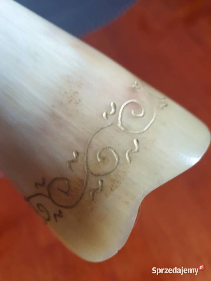 Ozdobny róg myśliwski 17 Radom