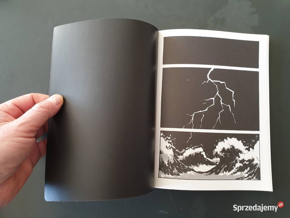 Safari na Plaży komiks Gdynia