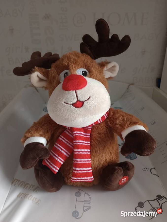 Grający i ruszający się renifer Szczecin