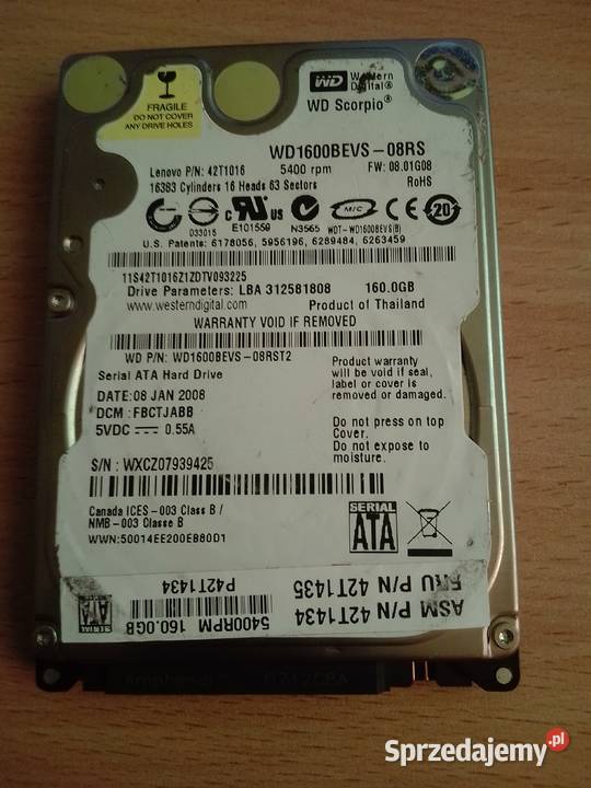 Dysk Twardy WD 160 GB Jelenia Góra