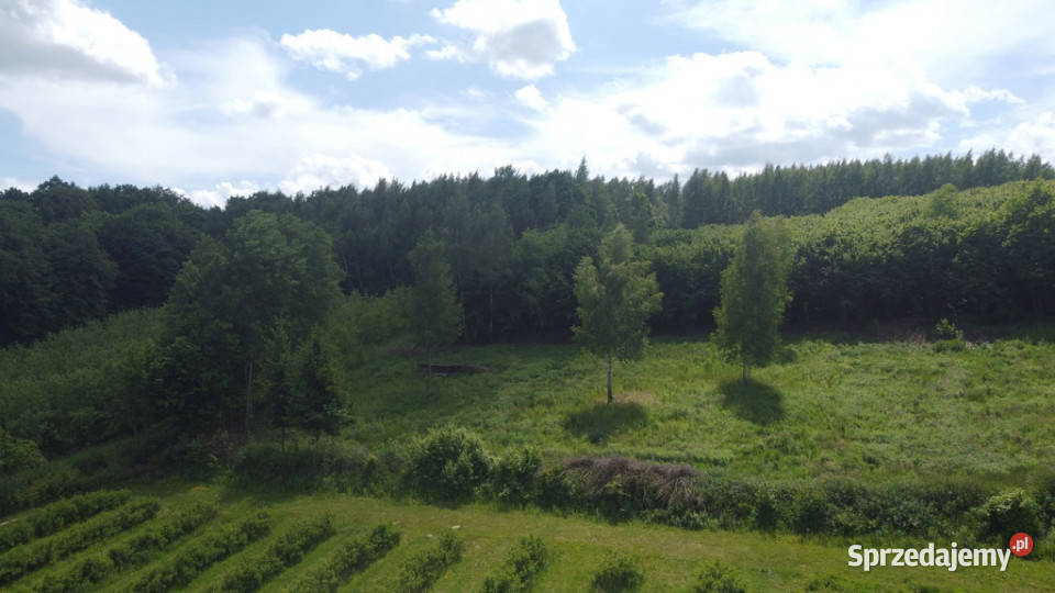 Działka 3580 m2 w Kazimierzu Dolnym 4 rynku