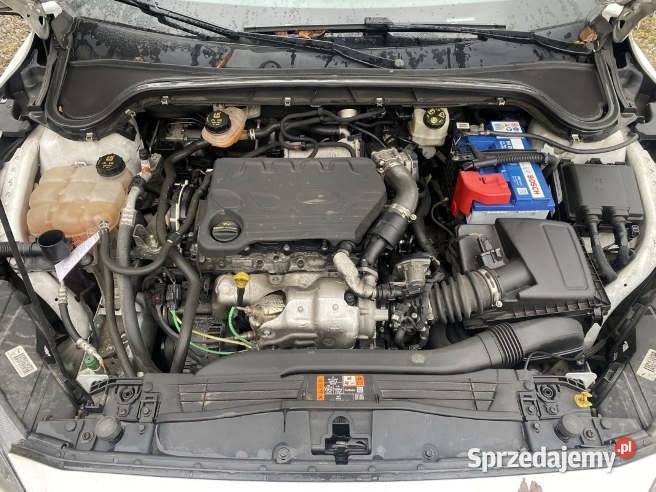 FORD FOCUS 2019 149800 ccm 120 Warszawa