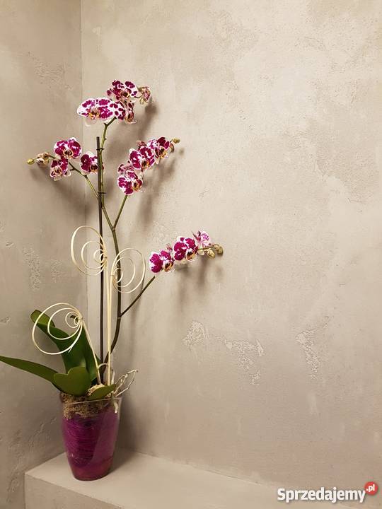 płyty betonowebeton dekoracyjny i opolskie Opole