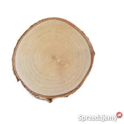 Plastry drewniane brzoza szlifowane 9 11 6sztuk Dekoracje i ozdoby Rybnik