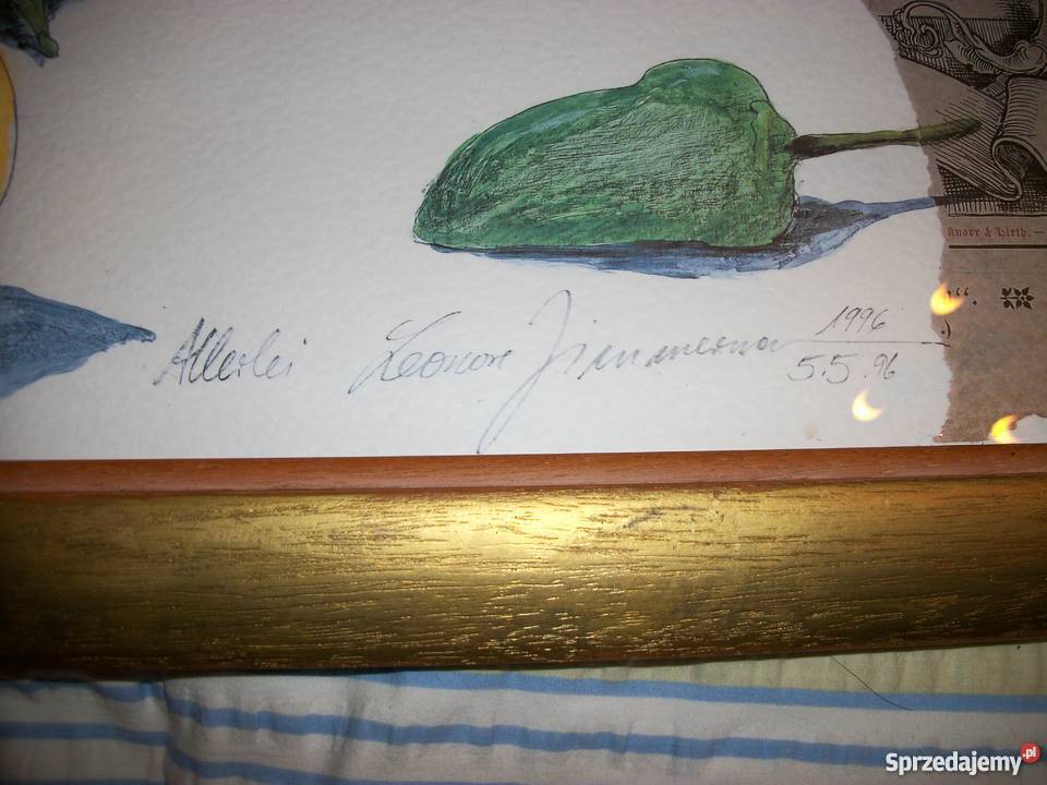 Piękny obraz z galerii z niemiec Wałbrzych