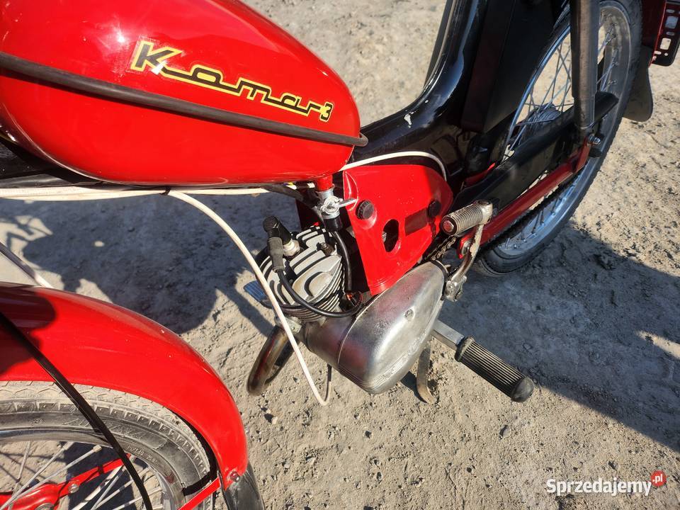 Komar fajny zabytek Wieruszów