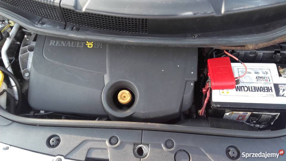 renault scenic Gniezno