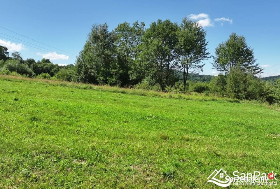 Działka Olszanica 22000m podkarpackie