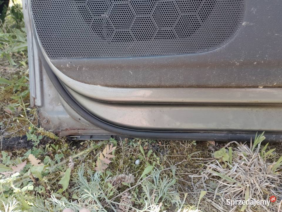 VW PASSAT B6 DRZWI PRAWY TYł LC9Z Drzwi Międzychód