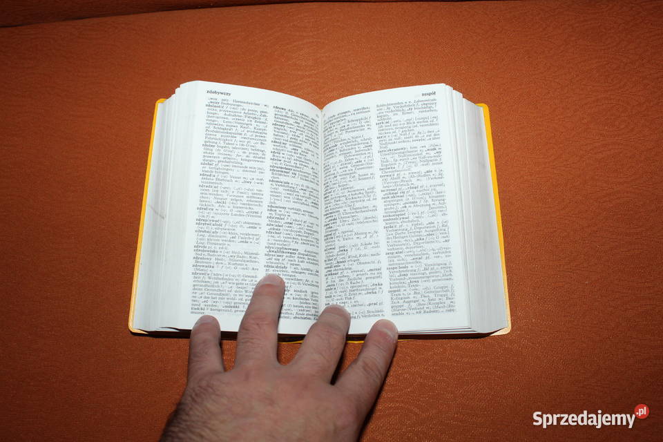 Langenscheidts Taschenwrterbuch Polnisch Chorzów